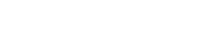 Ritu PPC Logo